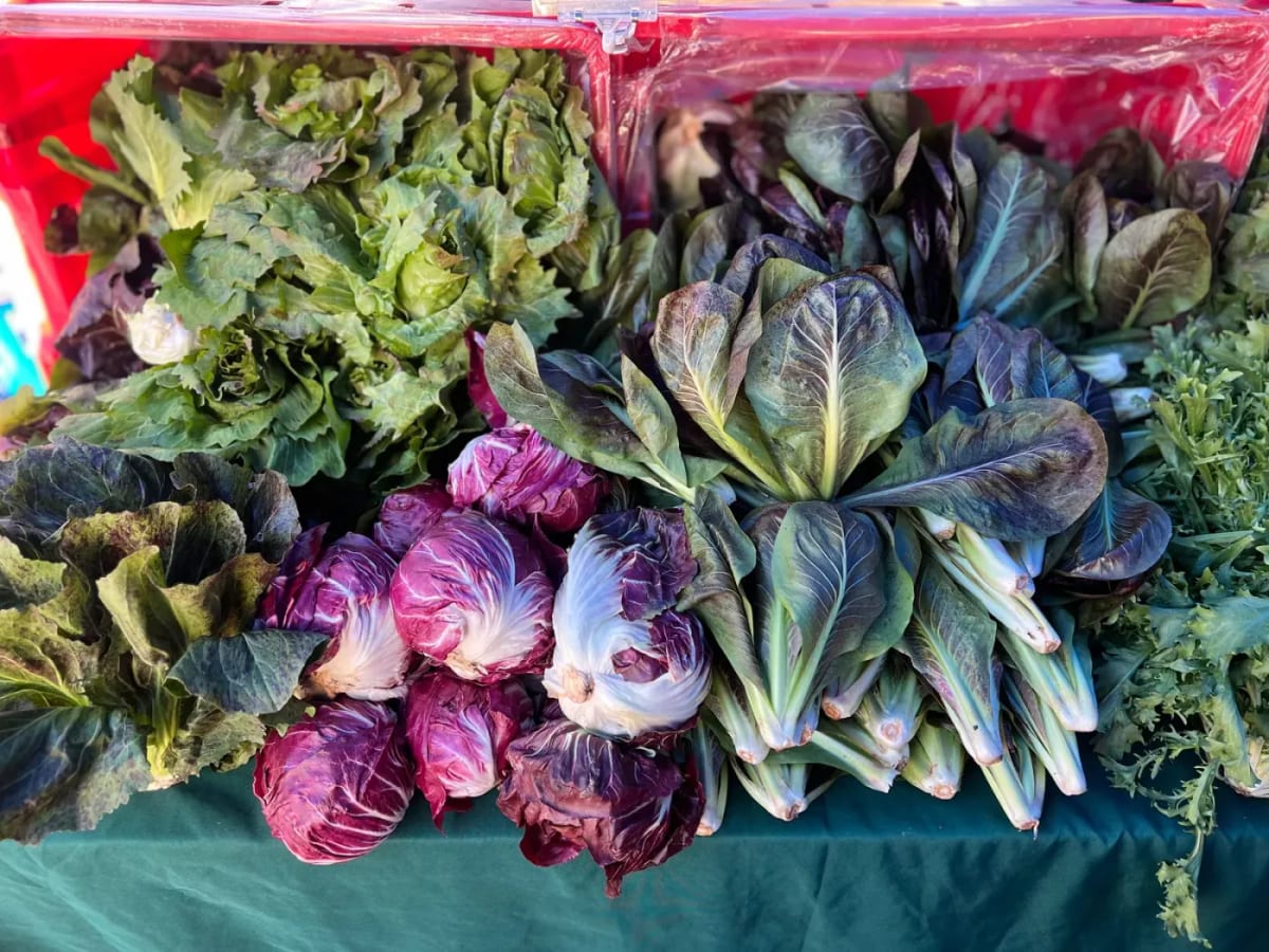 Des étals de légumes frais sur un marché bulgare