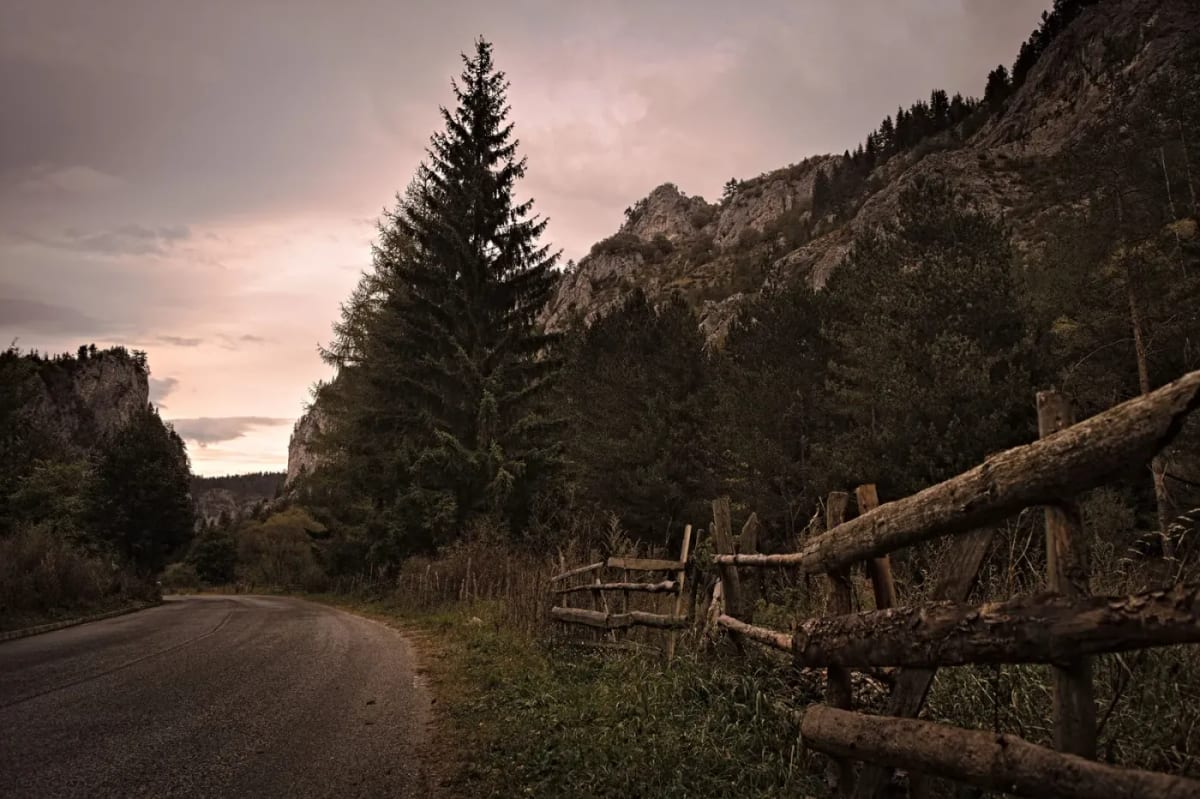 Une route de montagne bulgare serpentant entre les forêts de conifères